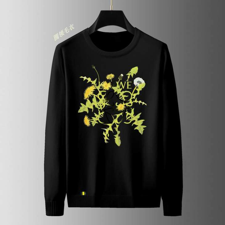 Picture of Loewe Sweaters _SKULoeweM-4XL11Ln0746408
